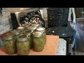 Canning Sweet Relish / Making Fermented Cucumbers