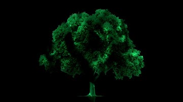 Tree Mapping - Vuoi essere inovativo ?