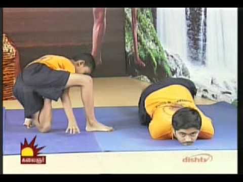 Dr Asana Andiappan Kalaignar Tv Yoga Program 12 09 2013 meditation for anxiety
