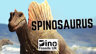 What do we know about Spinosaurus?