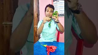 Definition of a flower | #botany #neet #neetaspirents #biology #plants #morphology