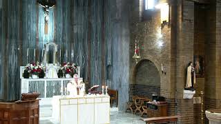 Mass for 21dst February 2022 (St Peter Damian)