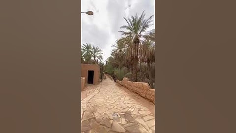 تلاوة كبار السن كأنها مفسرة بدون تكلف!   اللهمَّ بارك