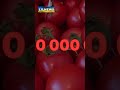 #ЕС снижает #пошлины на #продукты из #Армении, на фоне запретов #Кремля.
