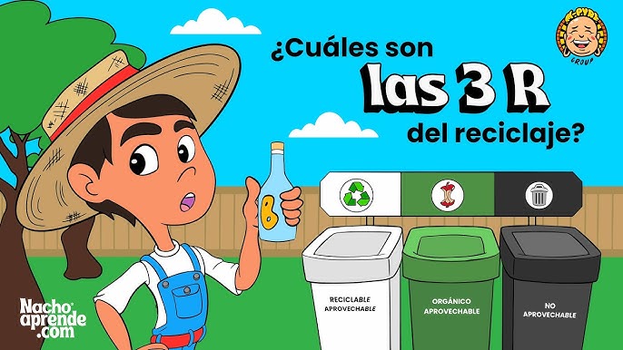 ♻️ ¿Eres nuevo en el reciclaje? ¡Descubre esta guía de cómo