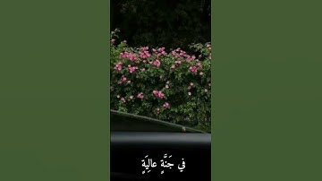 #قران_كريم #اكسبلور #لايك سورة الغاشيه
