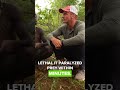 The Deadly Evolution of Poison Arrows