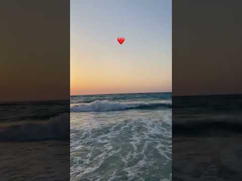 ولا انسيت اول اني اليسا