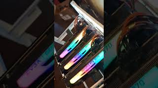 3 Amigos mining xelis with rigel miner 1