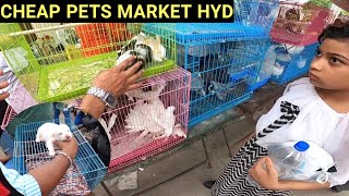 SUNDAY MARKET HYDERABAD | CHEAPEST PET MARKET | BRANDED SHOES & CLOTHES