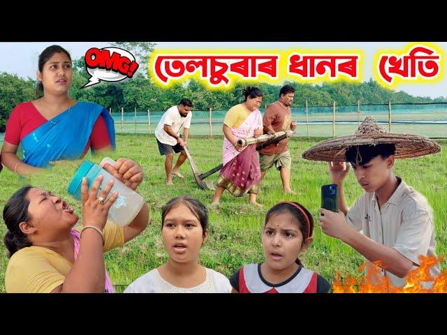 তেলচুৰাৰ ধানৰ খেতি ।। TELSURA VIDEO || Assamese Comedy || Voice Assam || Assamese Funny Video ||