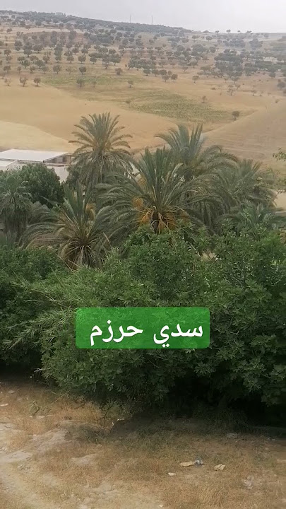 #سدي #حرزم #تحياتي #لكم #مشهدين #لايك #اعجاب #وشكرا#لكم