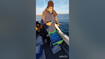 Small boat anchoring. Alderney ring method.