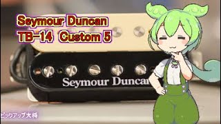 Seymour Duncan SH-14 Custom5 - YouTube