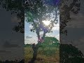 mas um vídeo mostrando o meu dia  dia
