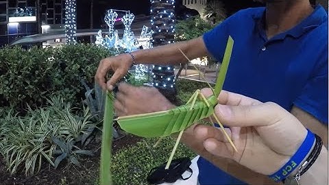 How To Make a Grasshopper Using Coconut Palm Leaf DIY TUTORIAL