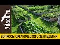 Сложности перехода на органическое земледелие - 7 дач
