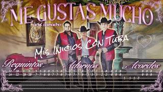 Me Gustas Mucho - Ariel Camacho - TABS - Requintos/Acordes/Adornos -Tutorial