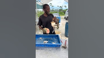 We’re in the Bahamas to learn how the locals harvest conch for eating 🐚🤯🤷🏽‍♂️With @tompetropulos