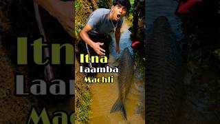 Itna laamba machli desi juggad se pakar liya | Mini Vlog #minivlog #bigfish #desijugaad #fishingtrap