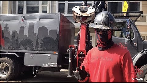 A Plus Crews - Badassery and Tree Mastery