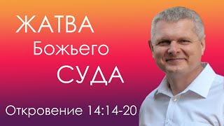 Откровение 14:14-20 / Жатва Божьего суда! - Андрей Гренок