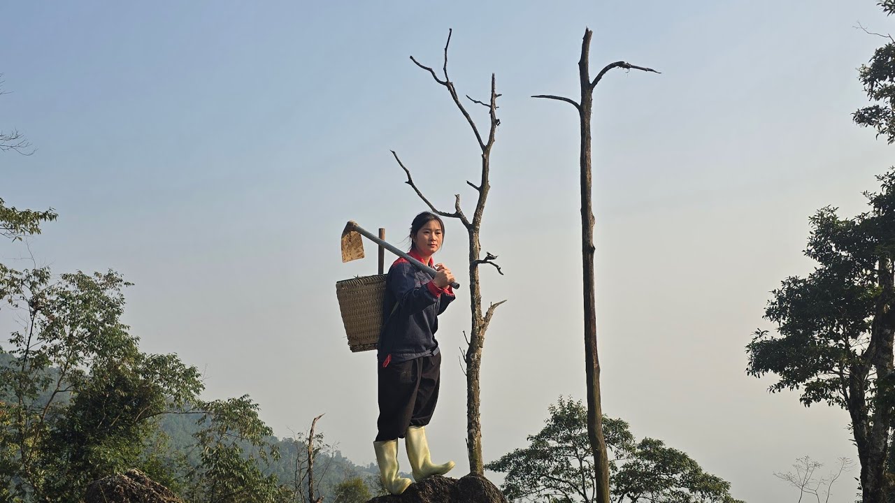 Single Mother Sells Bamboo Shoots to Raise Her Child – A Surprise Gift from a Kind Police Officer