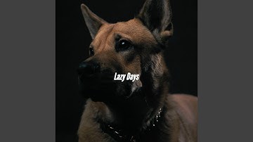 Distinguished Backdrops for Amusing Days