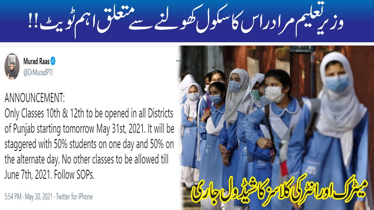 Important Tweet Of Education Minister Murad Raas Regarding Opening Of School