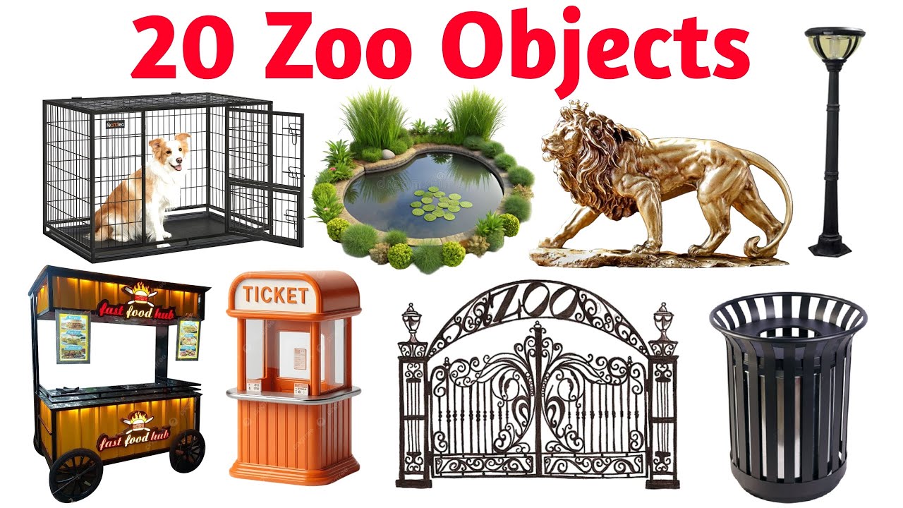 20 Zoo Objects ke Naam | Learn Zoo Objects Name in English and Hindi ...