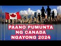 Canada needs immigrants 2024  pathways to canada