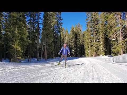 Nordic Bite: How to Attain an Effective Body Position for Skiing