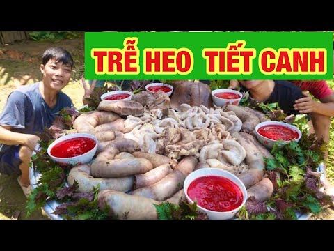 Video BẤT NGỜ KHI ĂN QUẢ TRỄ TRÀNG Ở ĐÁM BẮC RẠP MIỀN QUÊ - youtube