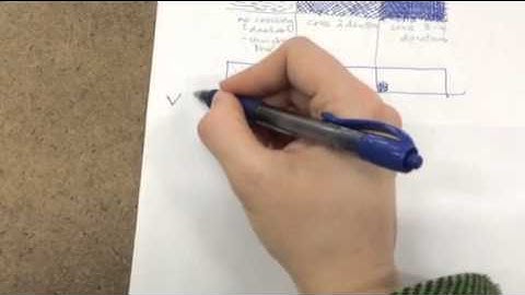 Cross-hatching & tree