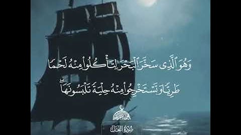 وَهُوَ الَّذِي سَخَّرَ الْبَحْرَ لِتَأْكُلُوا مِنْهُ لَحْمًا طَرِيًّا .. القارئ : محمد جبريل
