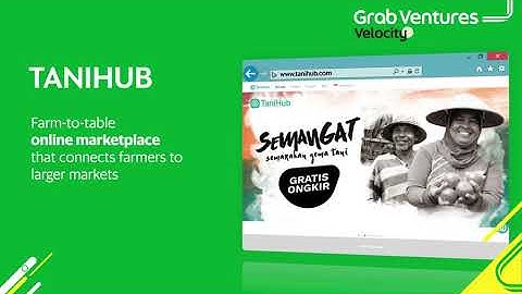 VIDEO BUMPER GRAB VENTURE VELOCITY - TANI HUB - 2019