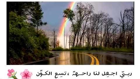 تلاوه هادئه تريح القلب ♥حالات واتس اب دينيه||مقاطع دينيه قصيره ||مقاطع انستقرام قصيرة