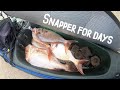 Northland Does it Again! Kayak Fishing & Spearfishing NZ | Snapper - Kingfish - Kina - Northland Does it Again! Kayak Fishing & Spearfishing NZ | Snapper - Kingfish - Kina