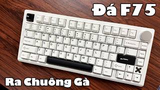 Phím Cơ Này Đá Aula F75 Ra Chuồng Gà