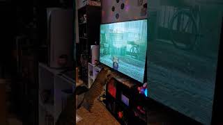 Cat reacts to Stray 🐈 #videogame #stray #catreaction #cutecat #funnycats