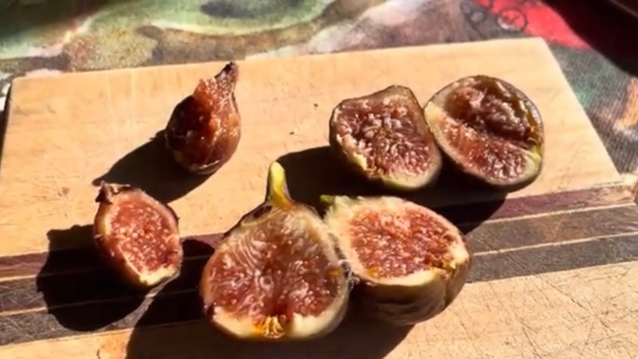 Brown Sugar Crunch Fig Tasting - 9/10/23