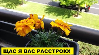 видео: ЩАС Я ВАС РАССТРОЮ!..ШОБ НЕ ОДНОЙ СТРАДАТЬ картинка: ЩАС Я ВАС РАССТРОЮ!..ШОБ НЕ ОДНОЙ СТРАДАТЬ