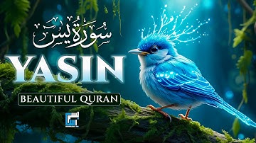 Surah Yaseen(Yasin) سورة يس | Ultimate Relaxing Quran Will Touch Your Heart إن شاء الله