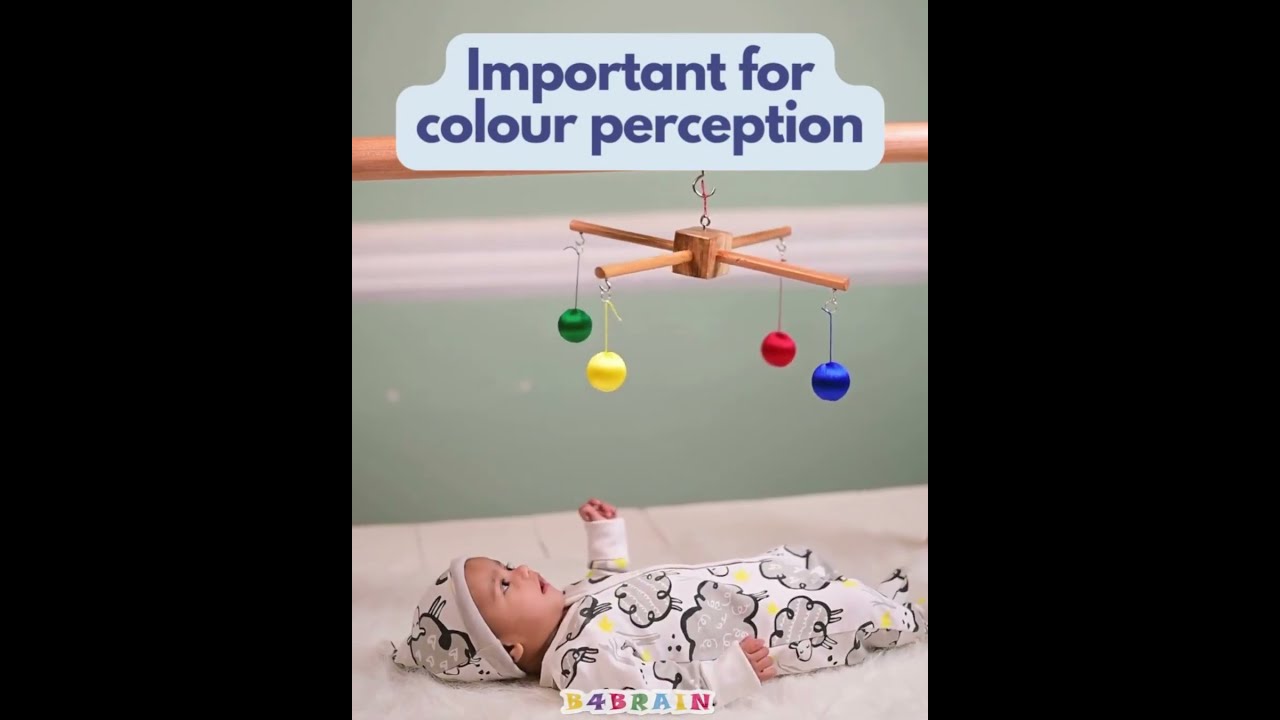 Newborn Brain Development Subscription Playboxes For 0 3 Month Babies B4BRAIN