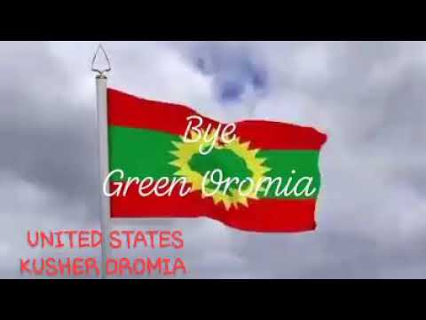 Faaruu Alaabaa Dhaggeeffadhaa