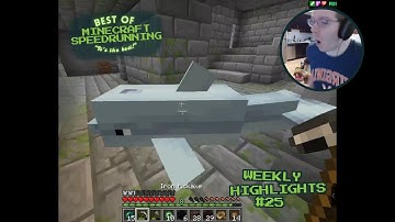 Minecraft speedrunning clips to watch instead of thinking about your grades
