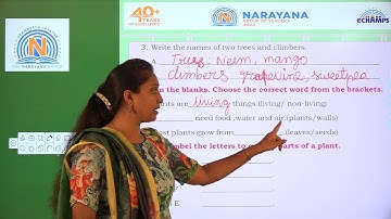 19TH APRIL AP CLASS I EVS REVISION ASSIGNMENT KEY