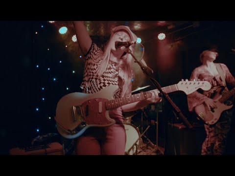 CATWOLF performs "Birds and the Bees" live at The Monkey House