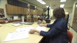 Great Job! Forensic Artist