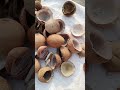 coconut 🥥 oil method day 5 #coconut #short feed